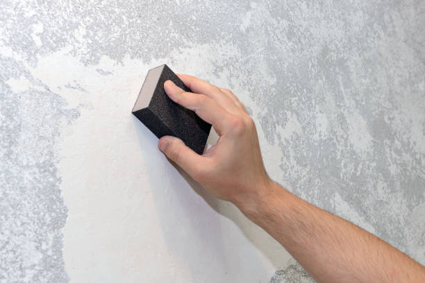 Best Crawl Space Mold Remediation  in Northwood, OH