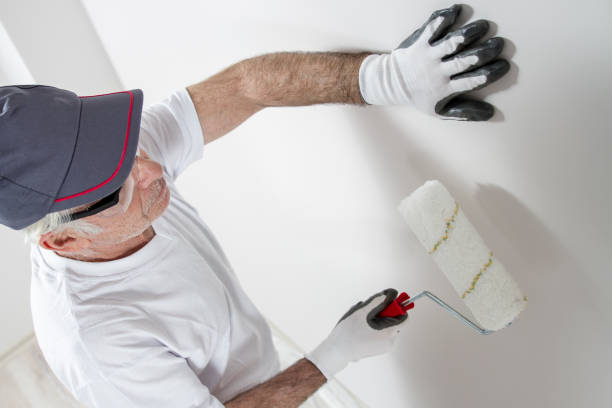 Best Asbestos and Lead Testing During Mold Inspection  in Northwood, OH