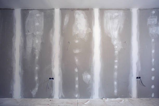 Best Basement Mold Removal  in Northwood, OH